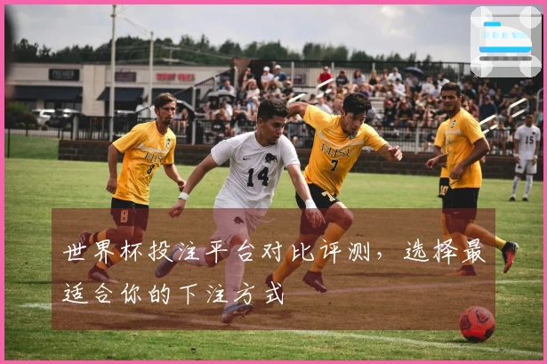 世界杯投注平台对比评测，选择最适合你的下注方式