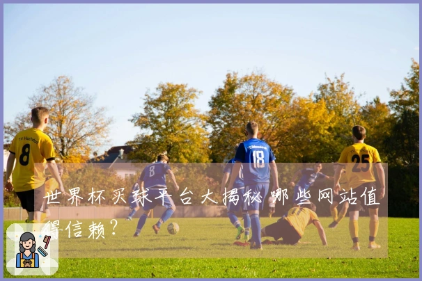 世界杯买球平台大揭秘 哪些网站值得信赖？