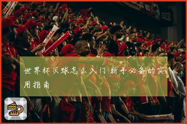 世界杯买球怎么入门 新手必备的实用指南