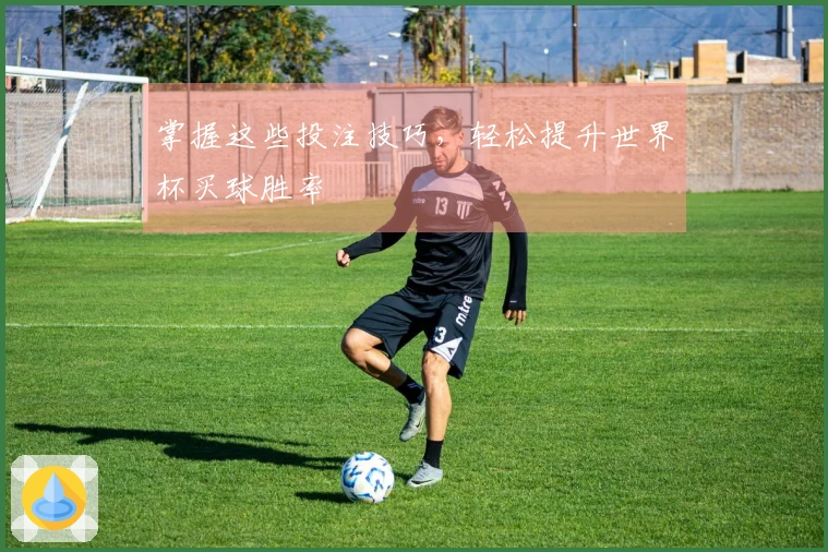 掌握这些投注技巧，轻松提升世界杯买球胜率