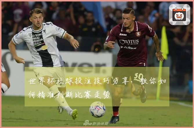 世界杯让球投注技巧分享，教你如何精准判断比赛走势