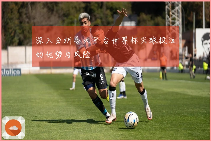 深入分析各大平台世界杯买球投注的优势与风险