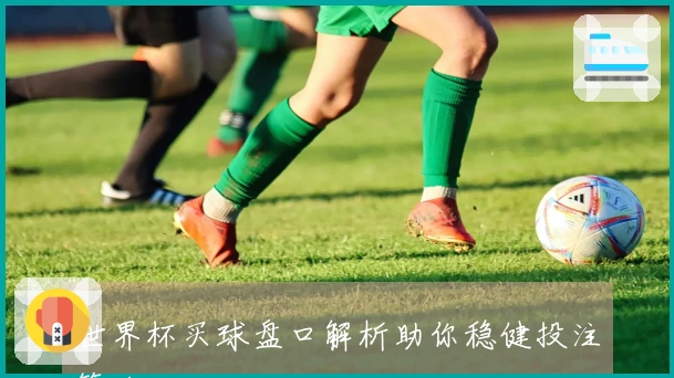 世界杯买球盘口解析助你稳健投注策略