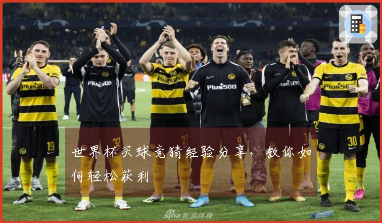 世界杯买球竞猜经验分享，教你如何轻松获利