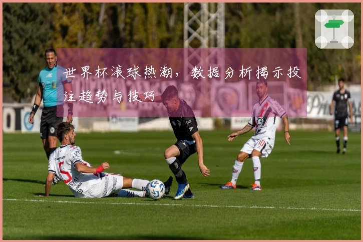 世界杯滚球热潮，数据分析揭示投注趋势与技巧