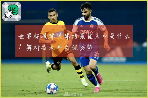 世界杯滚球买球的最佳入口是什么？解析各大平台优劣势